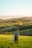 A person is standing in a vast, green, rolling countryside. The individual is wearing a floral shirt and holding a hat and a bag. The background features multiple layers of fields with various shades of green and patches of trees. In the distance, there are mountain ranges under a clear, blue sky.