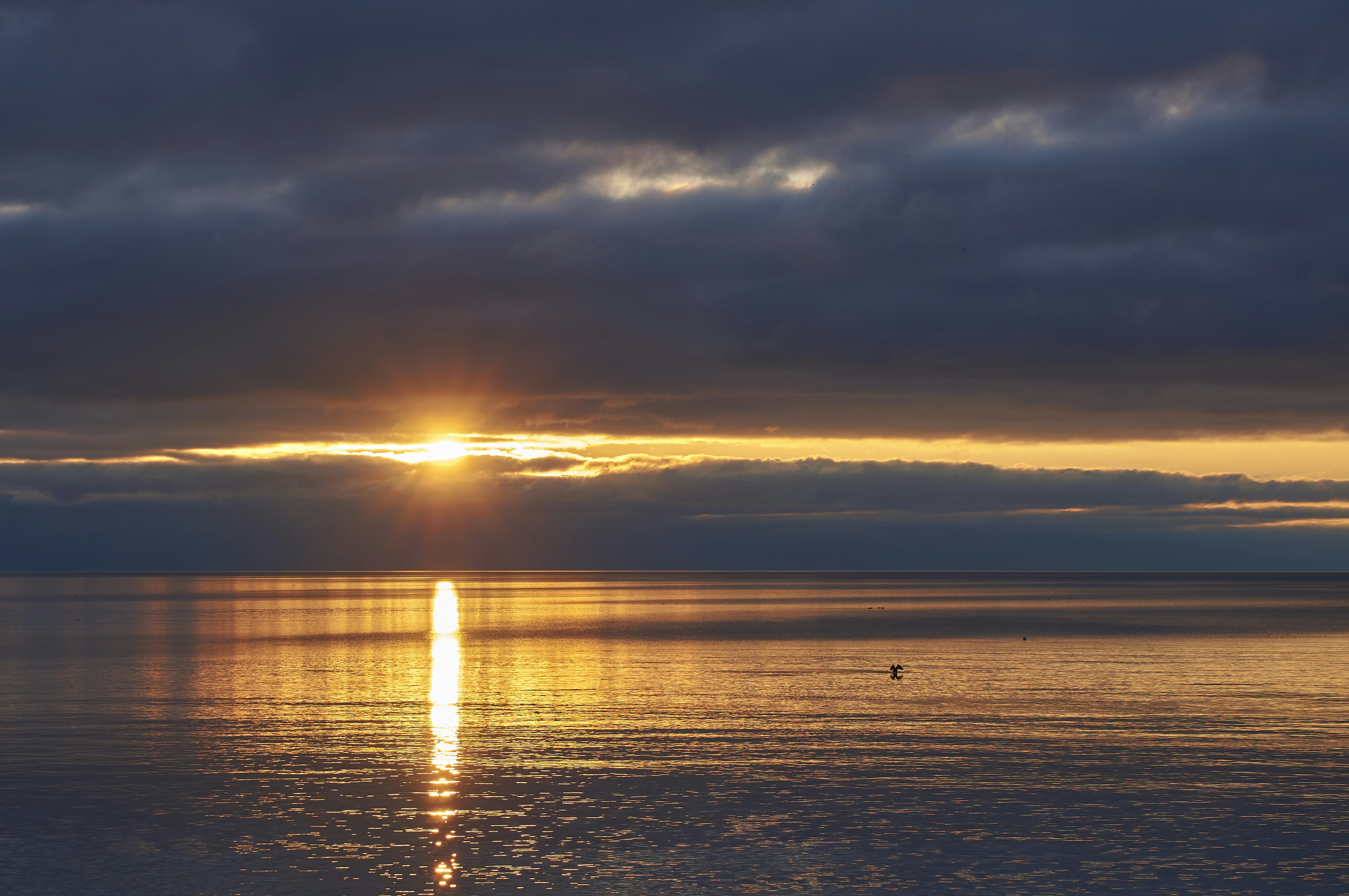 Photo by wolfgang_hasselmann