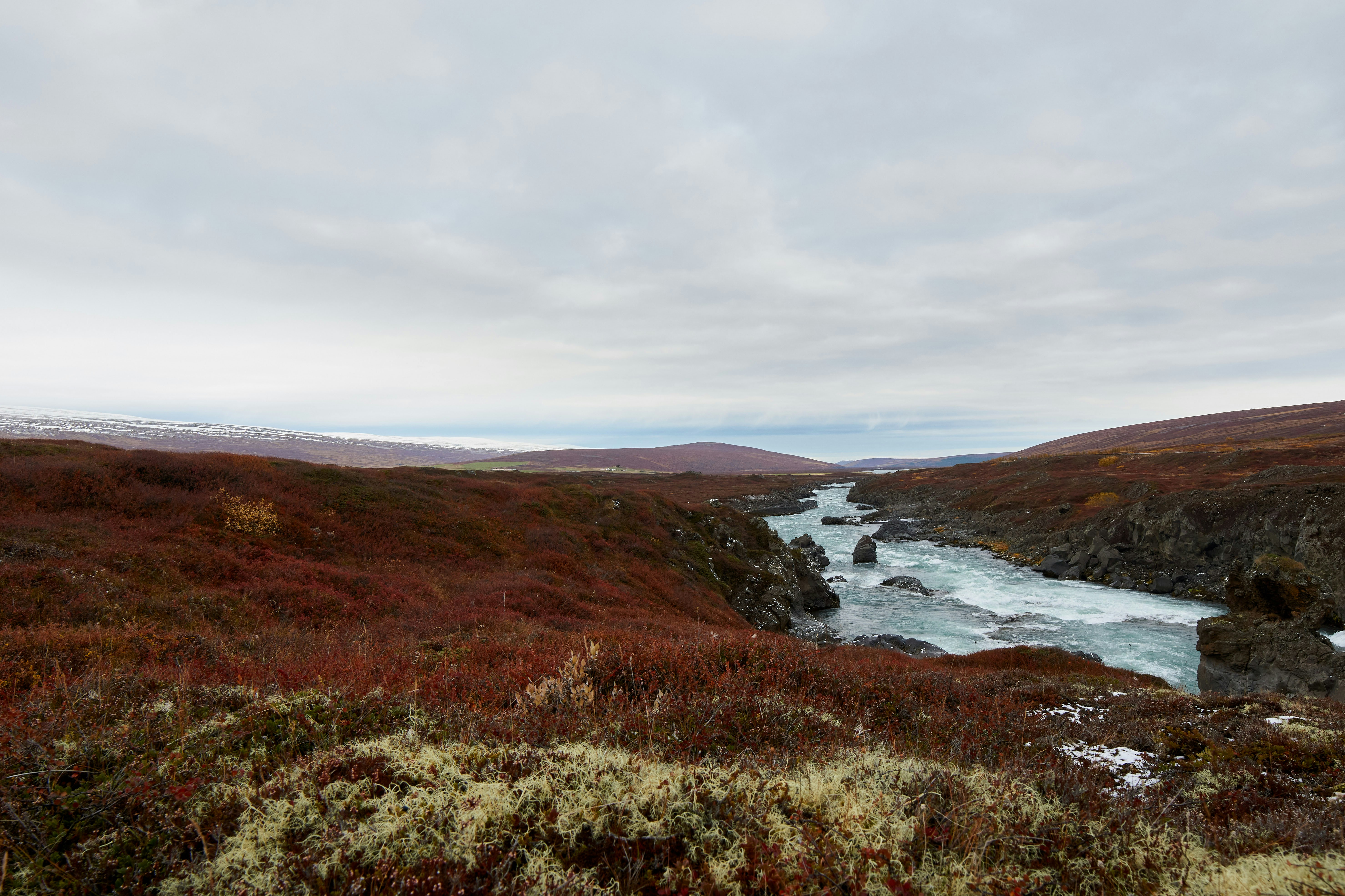 Photo by wolfgang_hasselmann