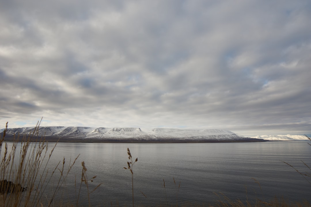 body of water under cloudy sky during daytime