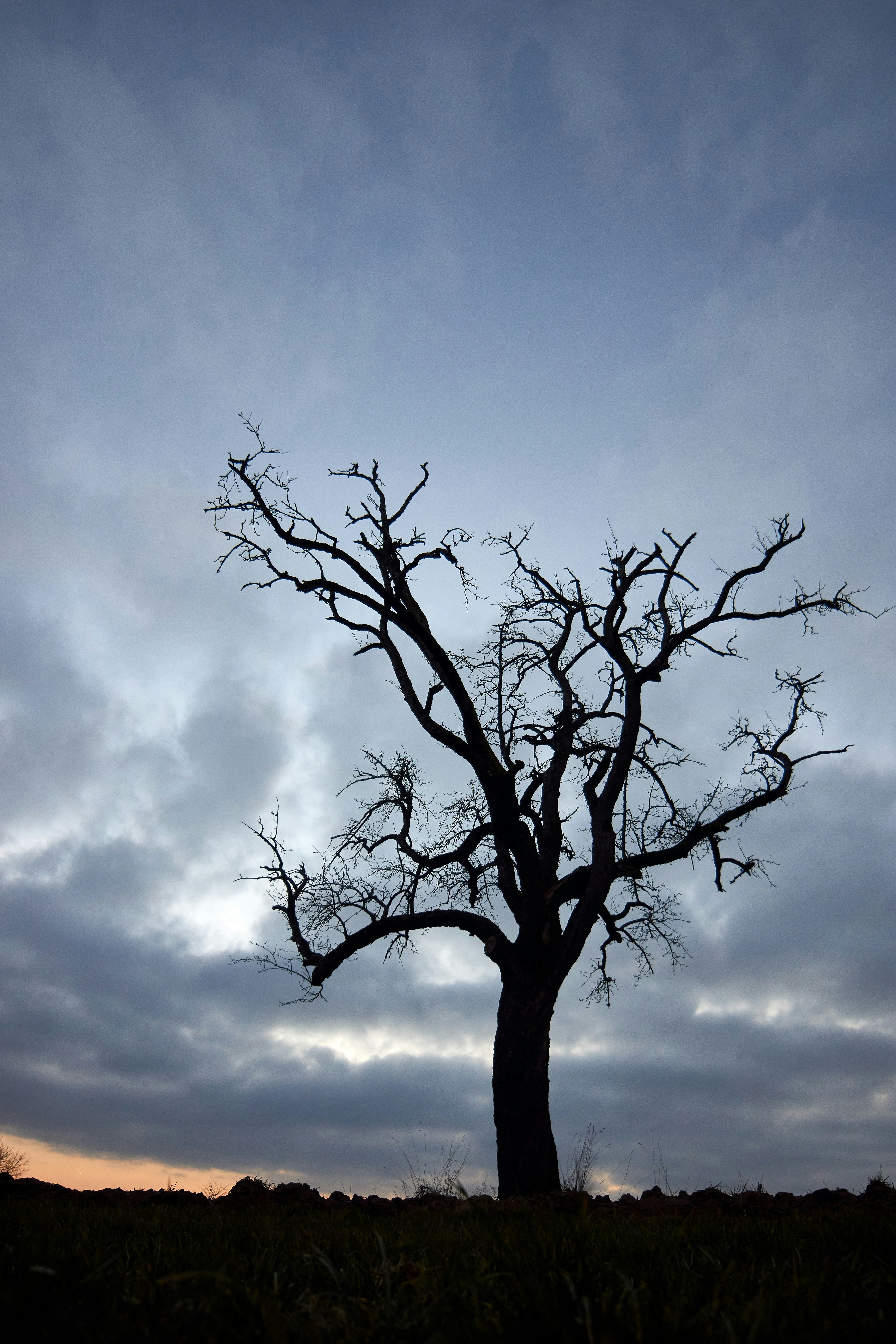 Photo by wolfgang_hasselmann