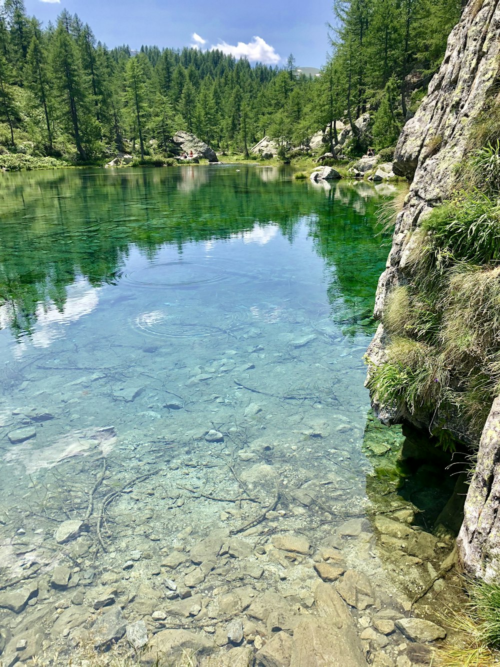 a body of water surrounded by trees and rocks