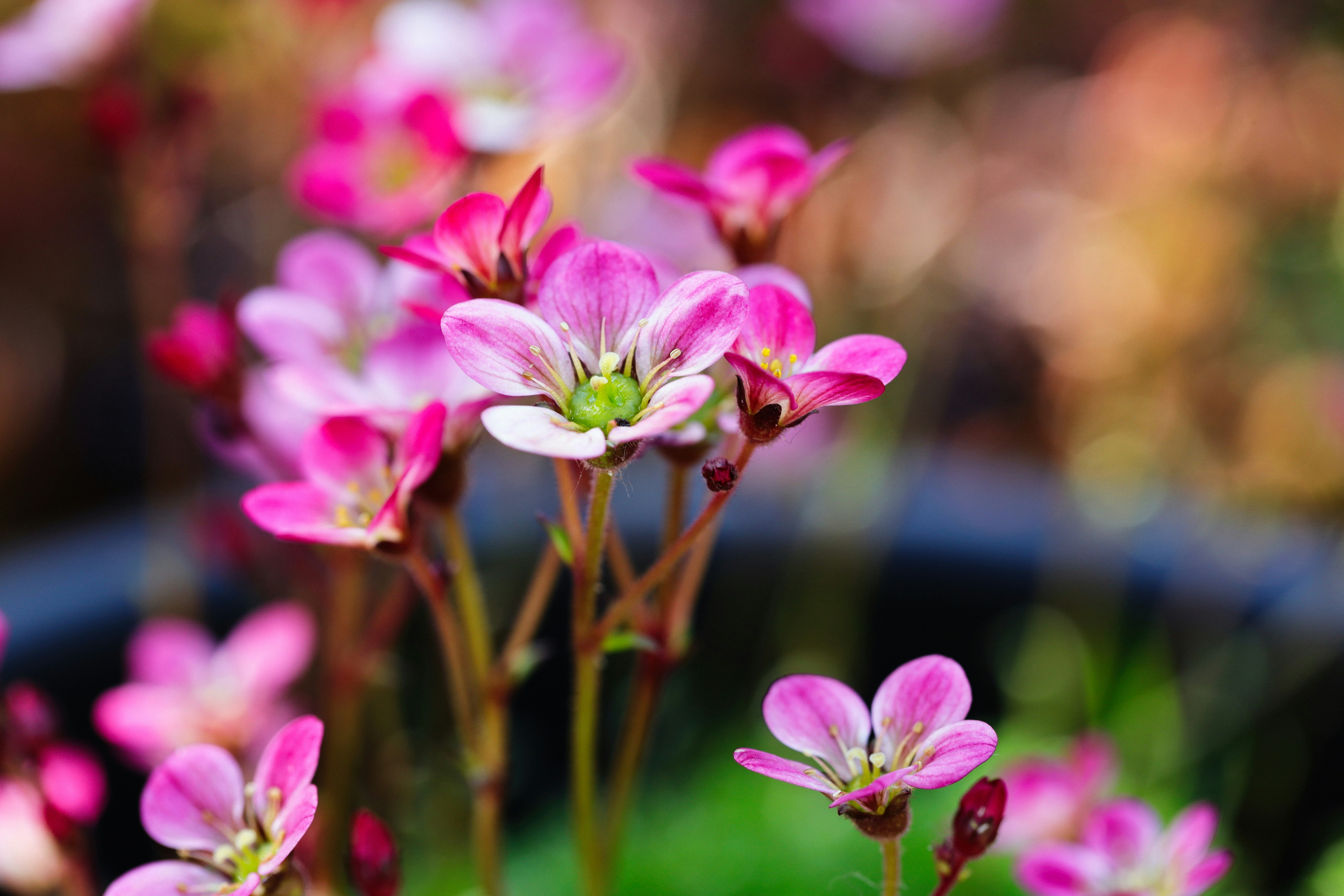 Photo by grievek1610begur