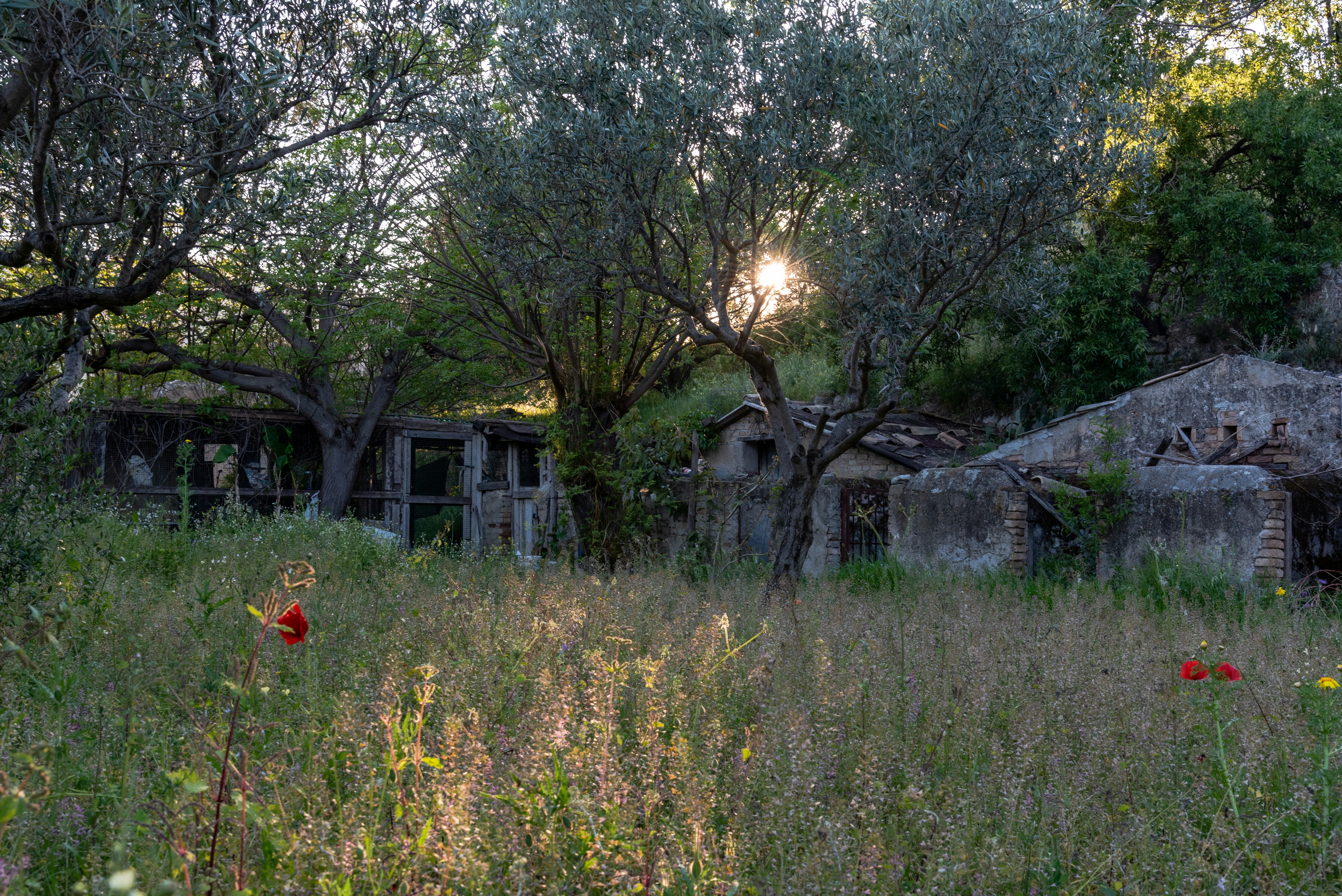 Photo by serenarepice