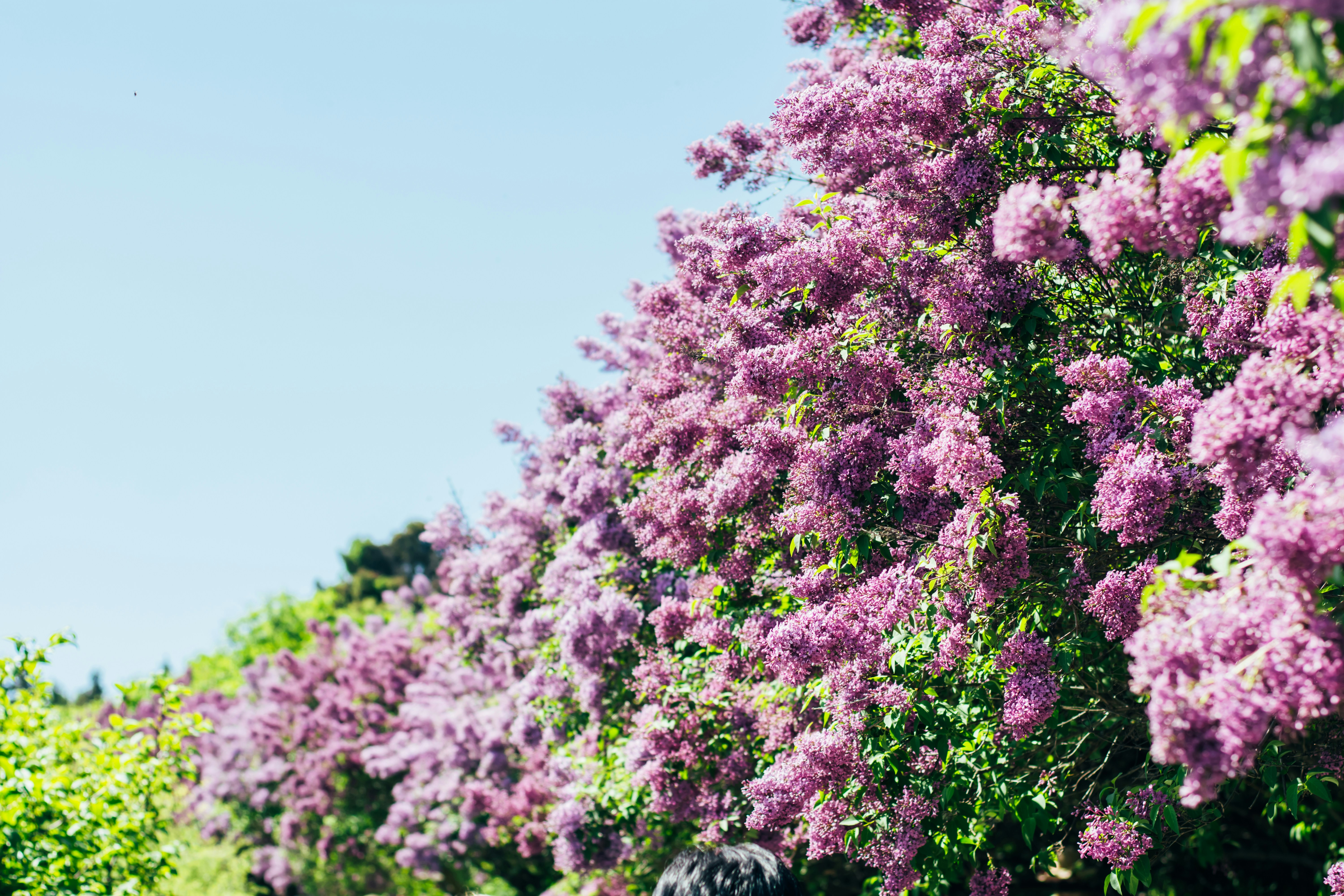 Photo by eugenivy_now