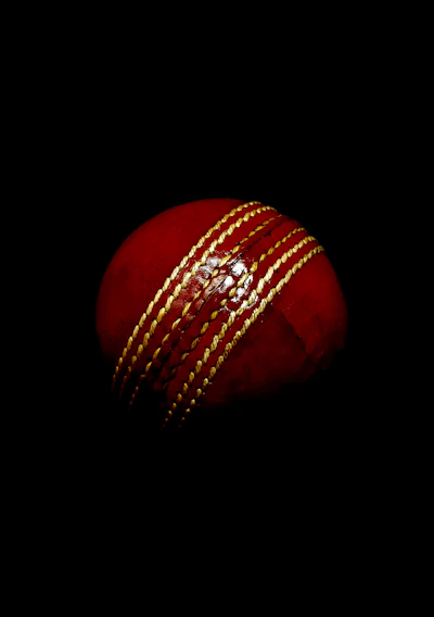 red and black ball illustration