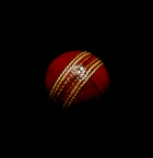 Leather ball