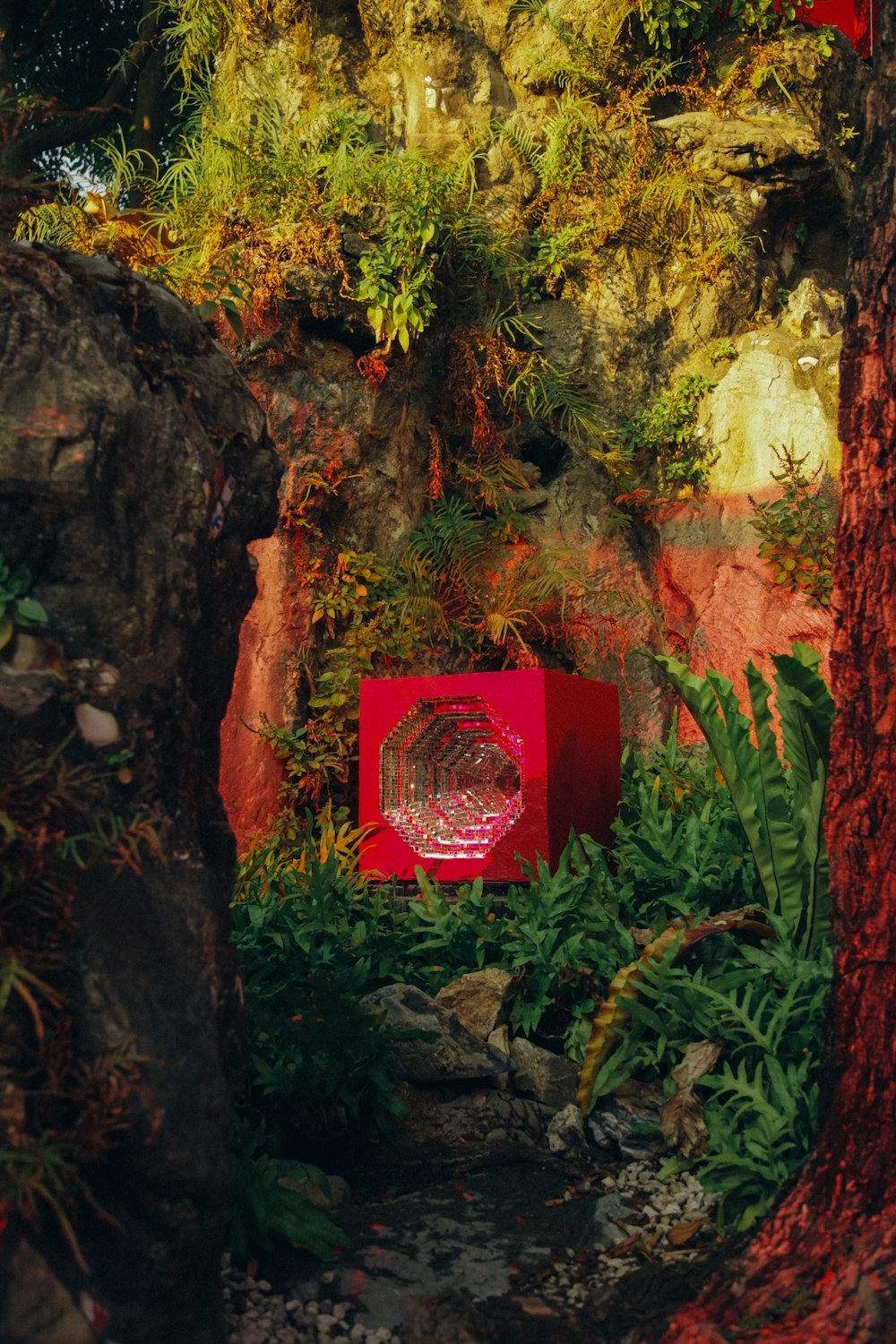 red and brown wooden box on brown and green tree