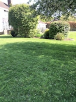 A lush green garden with well-maintained grass and a variety of bushes and trees. The garden is bordered by a traditional house with large windows. Sunlight filters through branches, creating a serene and inviting environment.
