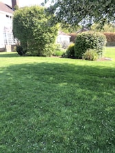 A lush green garden with well-maintained grass and a variety of bushes and trees. The garden is bordered by a traditional house with large windows. Sunlight filters through branches, creating a serene and inviting environment.