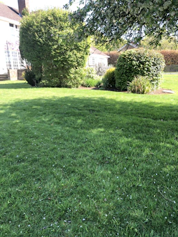 A freshly landscaped garden with new plants and tidy pathways bathed in natural light.