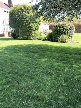 A spacious garden surrounding a property.