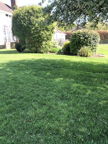 A lush green garden with well-maintained grass and a variety of bushes and trees. The garden is bordered by a traditional house with large windows. Sunlight filters through branches, creating a serene and inviting environment.