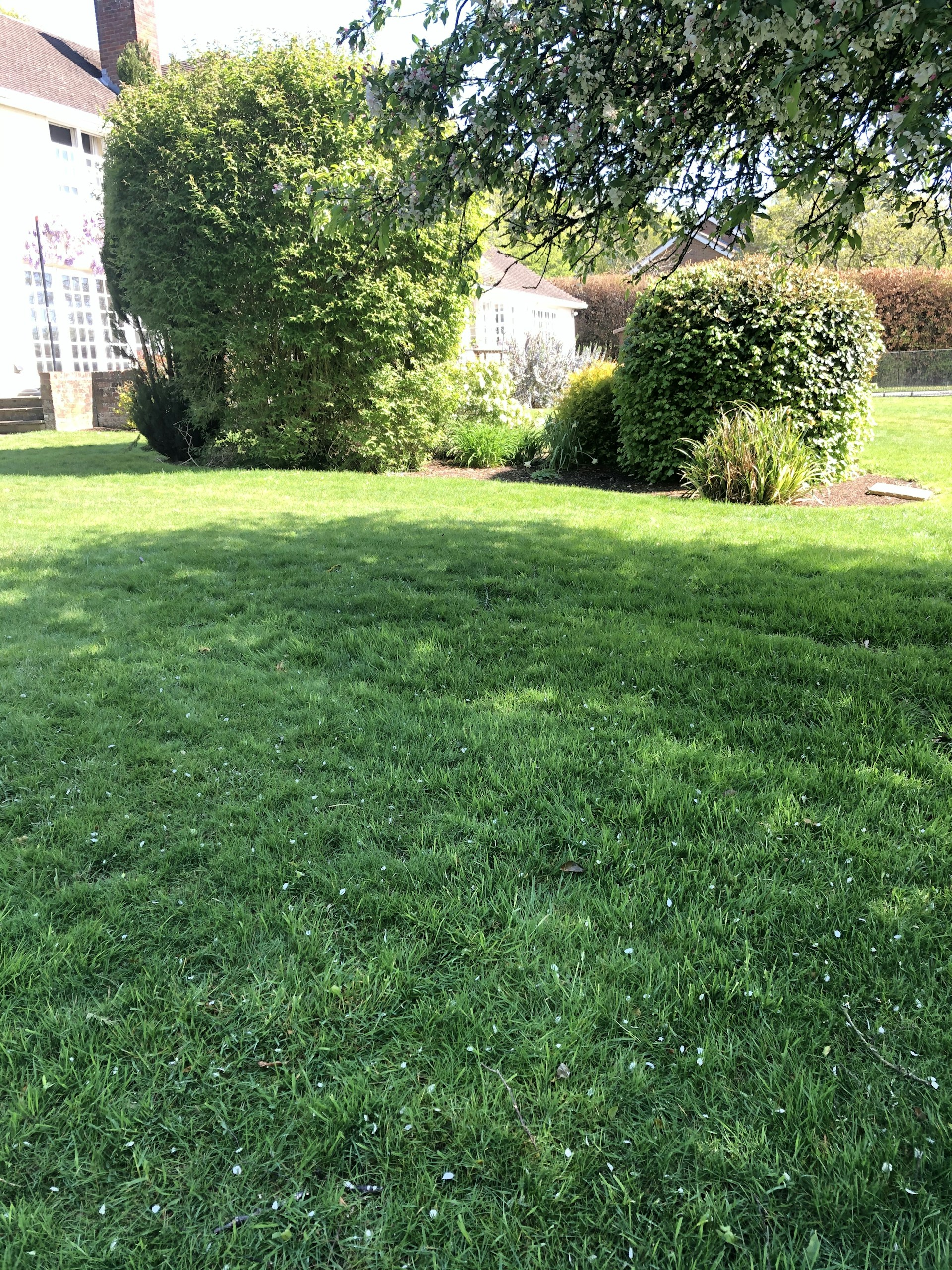 A beautifully manicured residential garden with lush green grass and colorful flower beds under soft natural light.