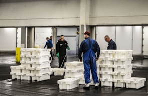 Warehouse workers organizing freight pallets in a modern facility in Mayotte