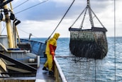 A worker in a yellow and red waterproof suit stands on a boat deck, operating machinery to hoist a large net filled with seaweed or marine debris from the ocean. The scene is set against a backdrop of a cloudy sky and calm sea.