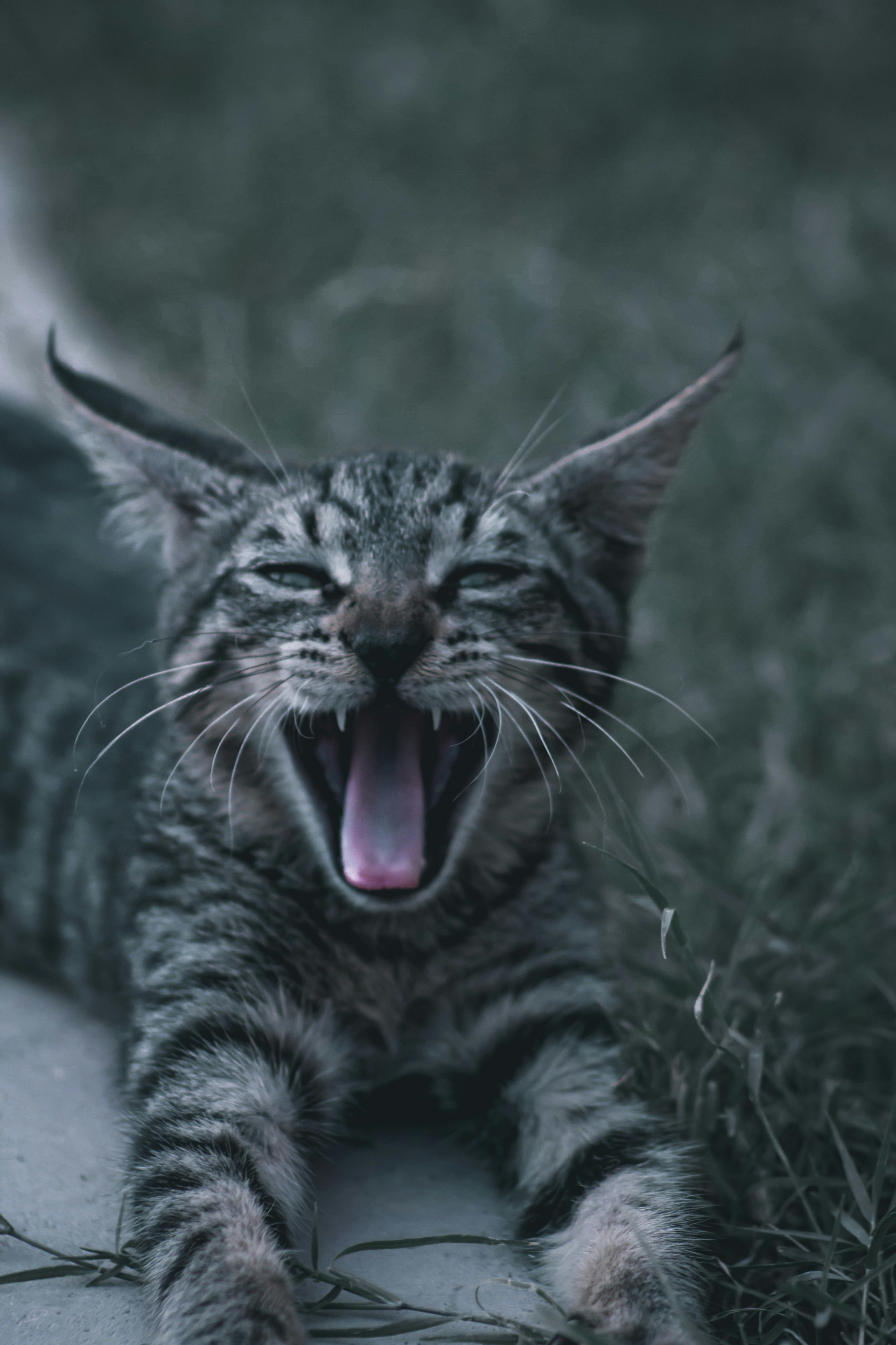 Photo by hamzaadildar