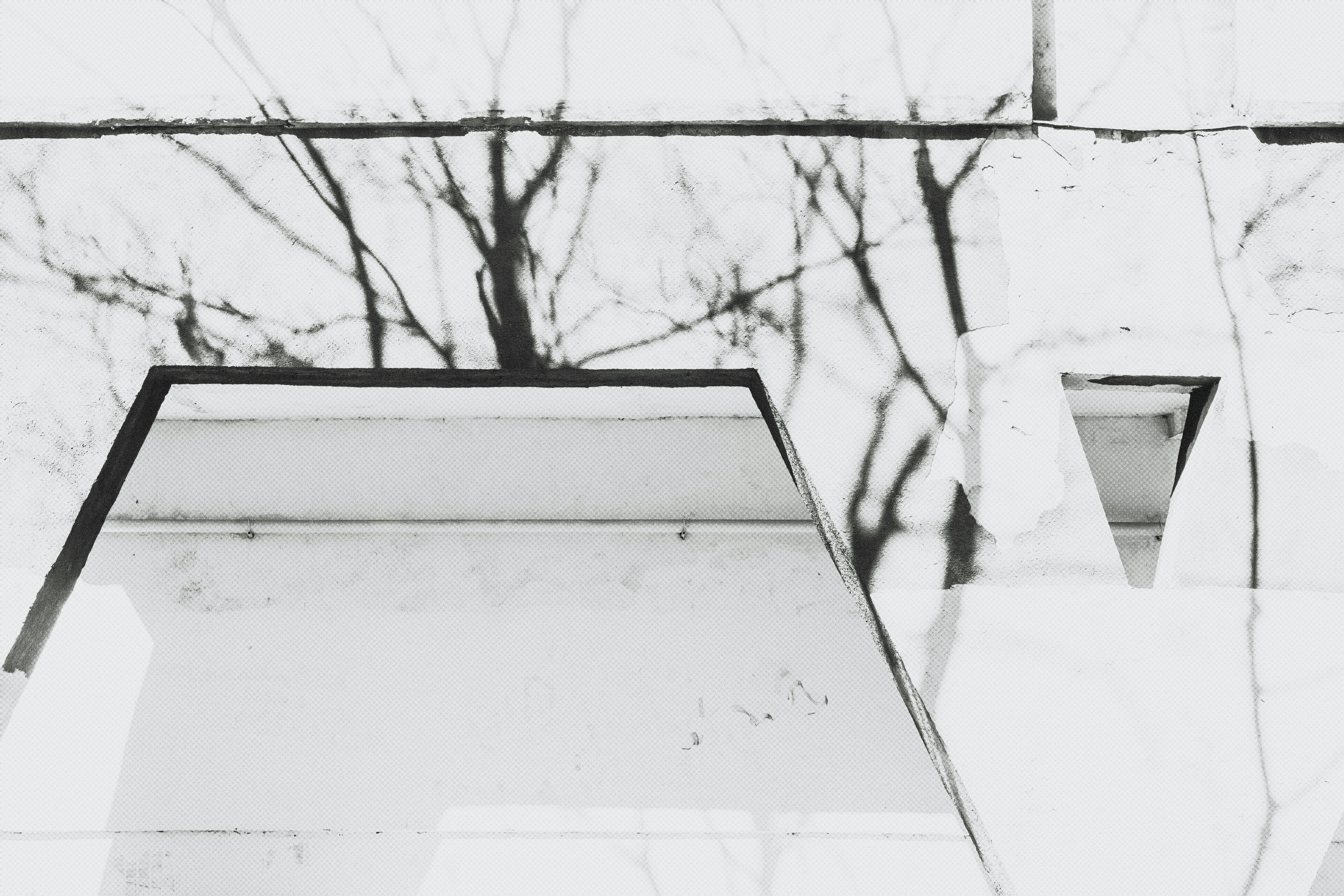 Photo by marjan_blan