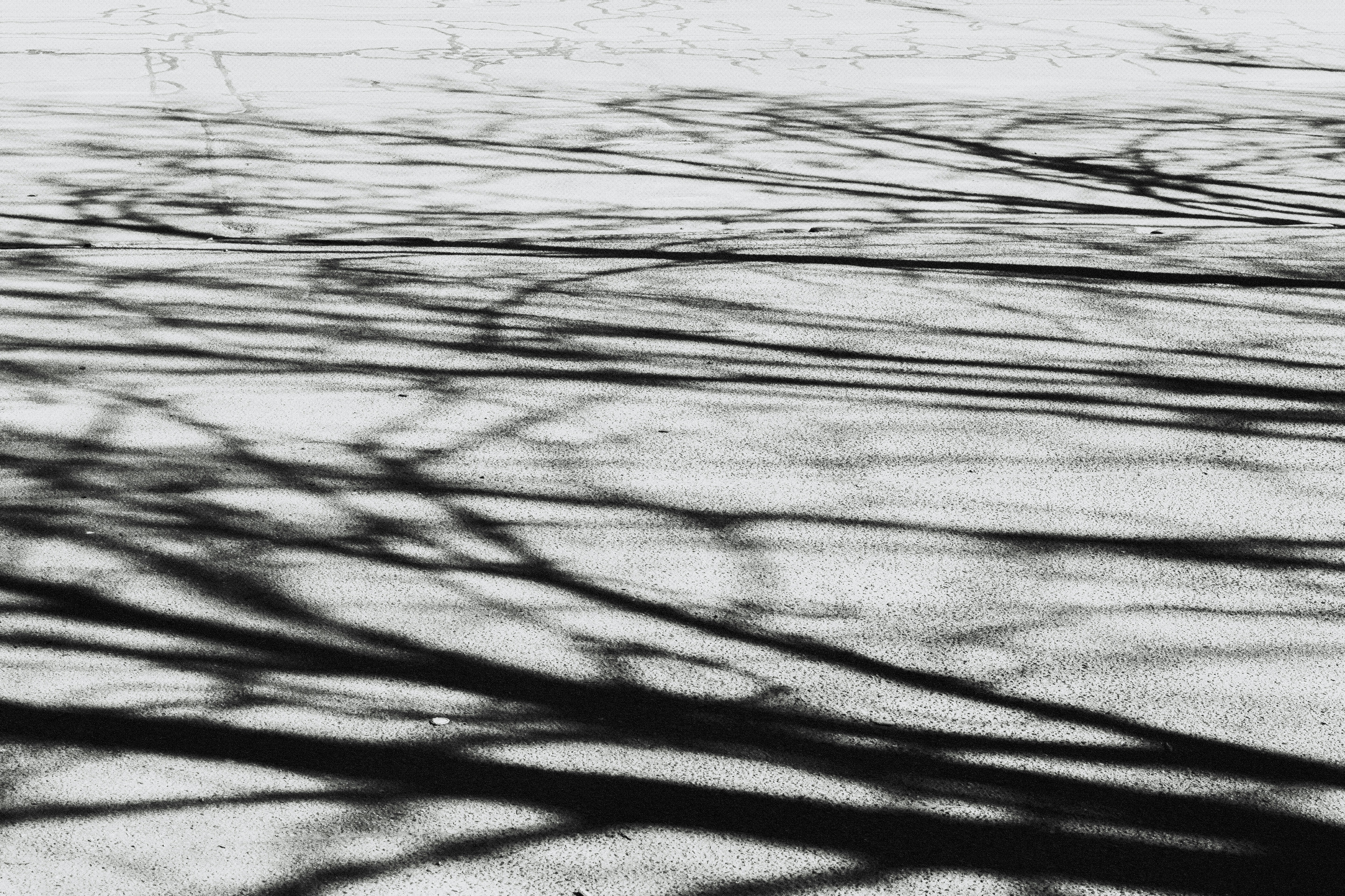 Photo by marjan_blan