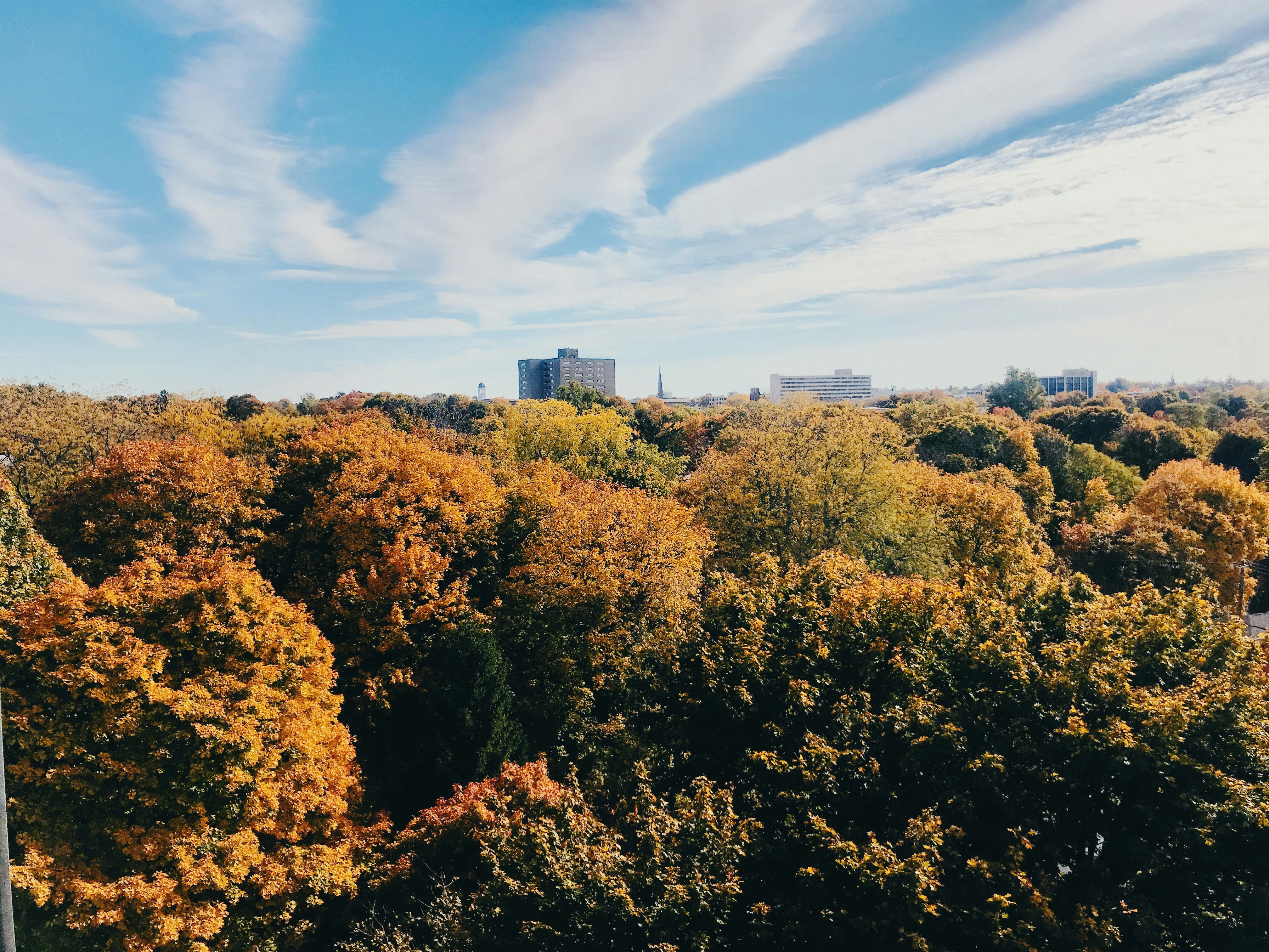 Photo by julie_levin