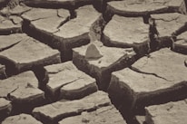 Cracked, dry earth with visible large fissures and a rough texture, suggesting drought conditions.