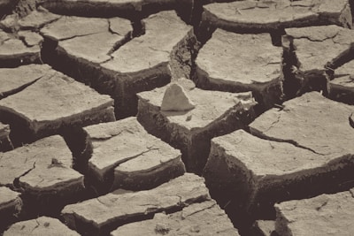 Cracked, dry earth with visible large fissures and a rough texture, suggesting drought conditions.