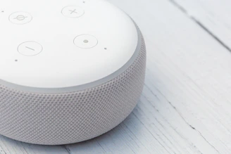 white and gray portable speaker