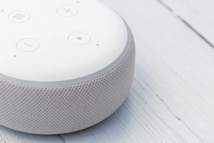 white and gray portable speaker