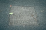 A metallic manhole cover with a grid-like pattern, featuring the engraved text '2007' and some letters or symbols. The cover is surrounded by a rough-textured pavement. A few scattered leaves and small twigs are present on and around the cover, adding a touch of nature to the urban setting.