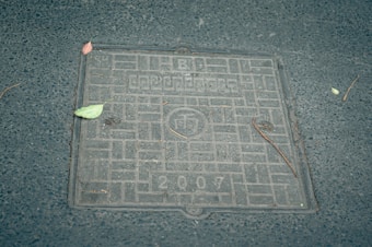 A metallic manhole cover with a grid-like pattern, featuring the engraved text '2007' and some letters or symbols. The cover is surrounded by a rough-textured pavement. A few scattered leaves and small twigs are present on and around the cover, adding a touch of nature to the urban setting.