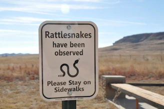 A pet sitter demonstrating rattlesnake avoidance techniques during outdoor training.