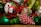 A collection of colorful Christmas ornaments including a red bauble with a snowman design, a green and gold textured ornament, and a pinecone-shaped decoration painted red and white.