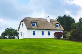 white and brown concrete house