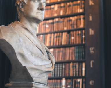 man statue near brown wooden book shelf