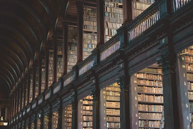 brown wooden book shelves in library