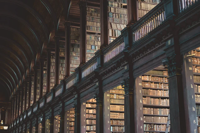 Old wooden library shelves filled with books