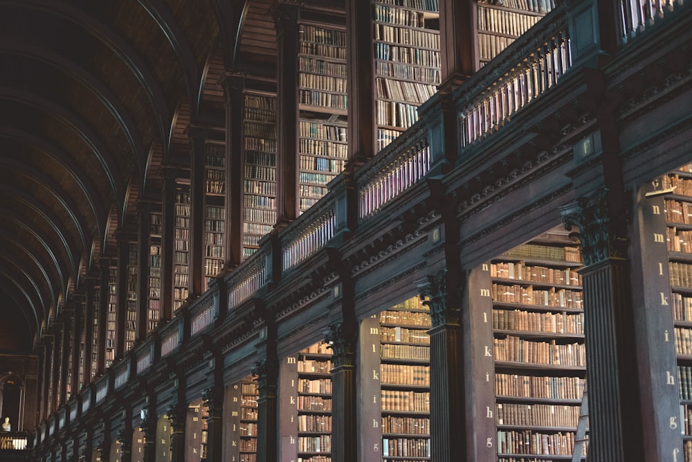 brown wooden book shelves in library