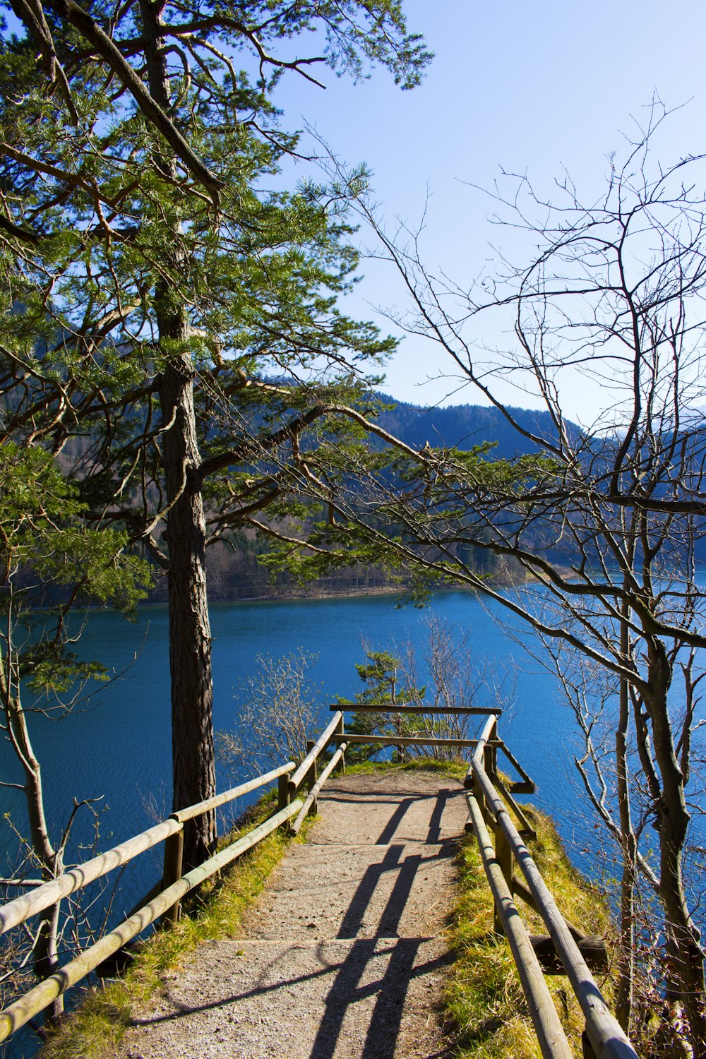 brown wooden bench near body of water during daytime