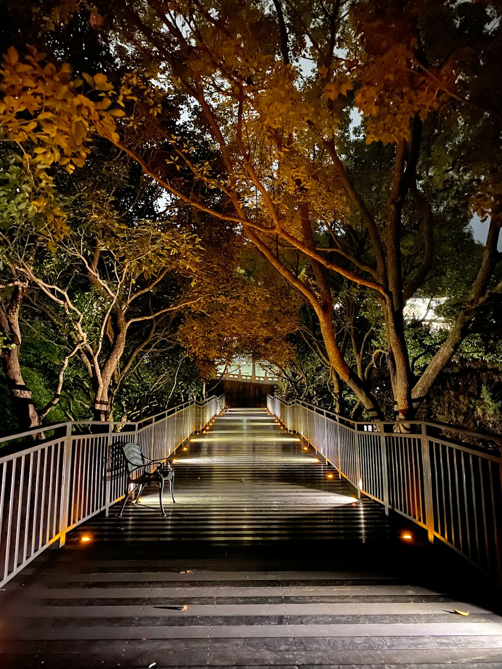 brown wooden bridge between trees during daytime