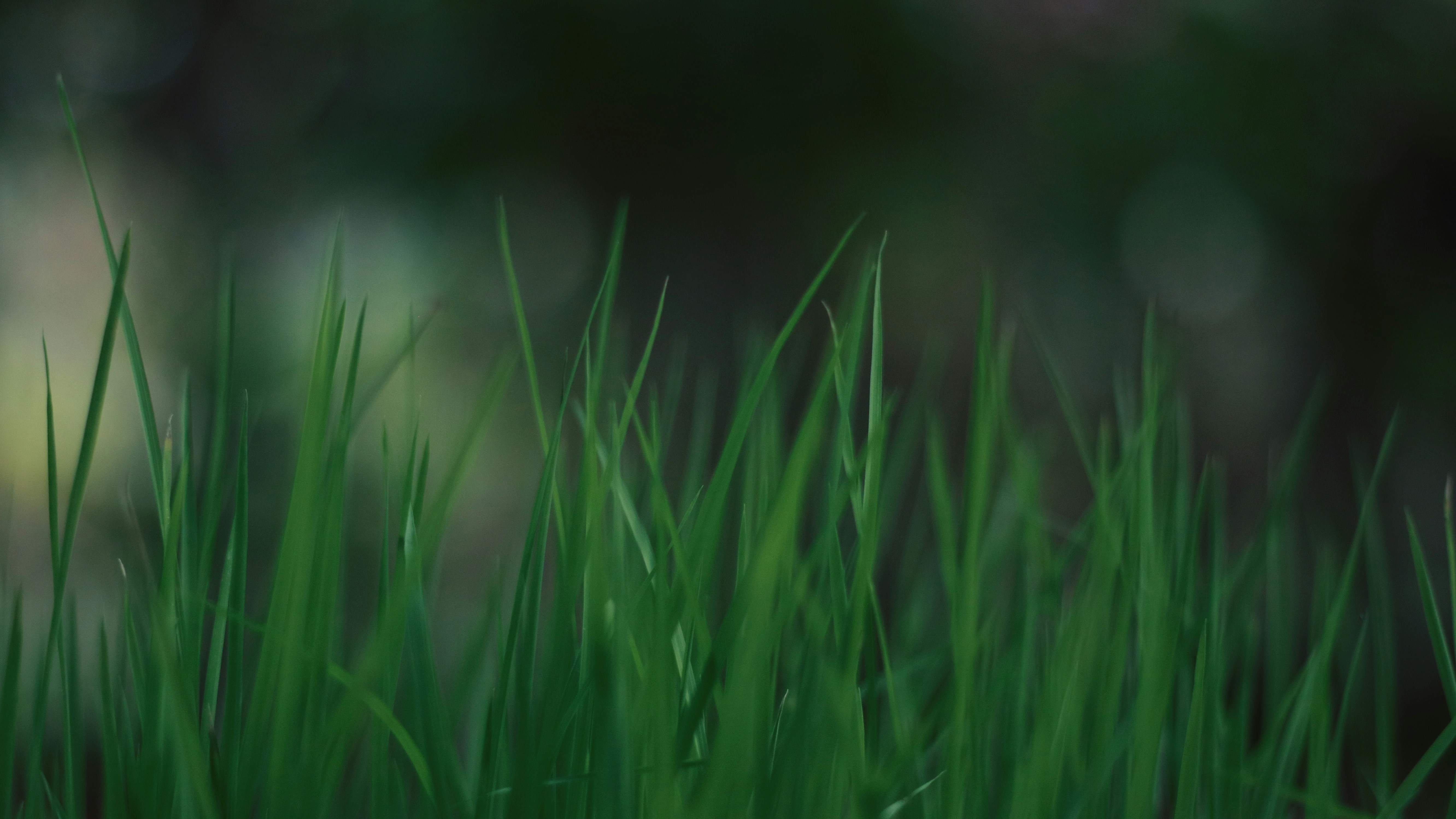 Photo by skyline_189