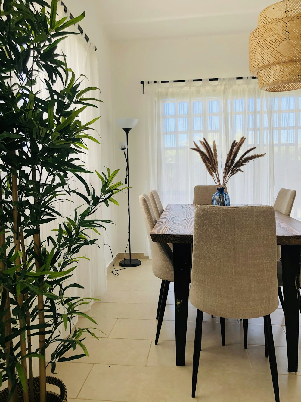 green plant beside dining table