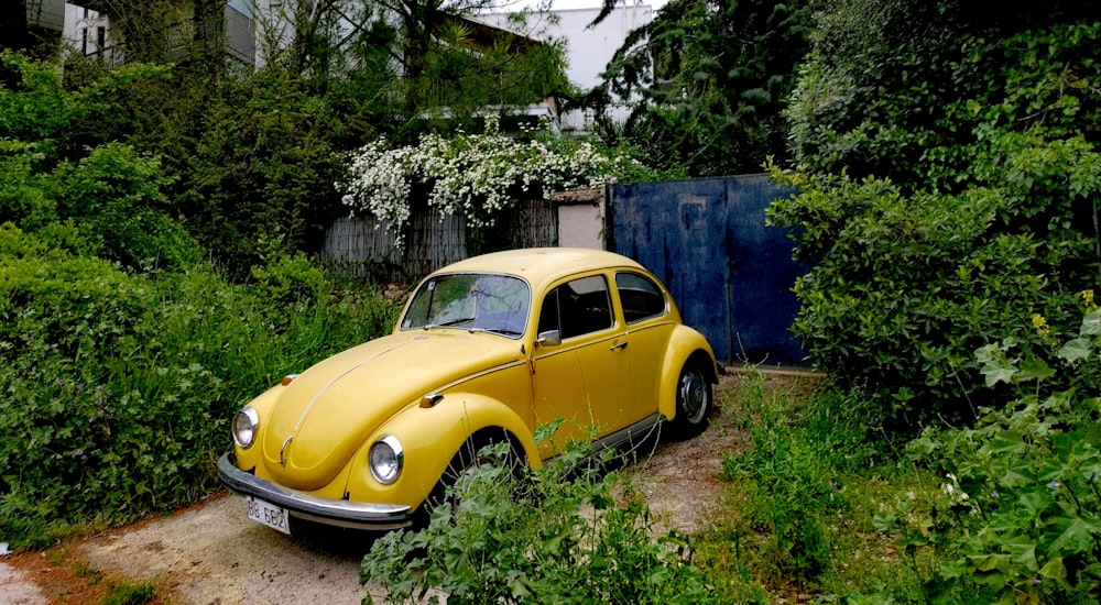 yellow classic car parked beside blue wall