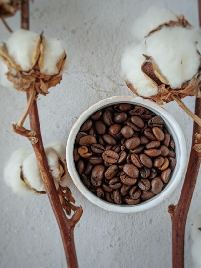 A bowl filled with roasted coffee beans is placed on a flat surface. Surrounding the bowl are several branches of cotton plants, with their white fluffy cotton bolls visible.