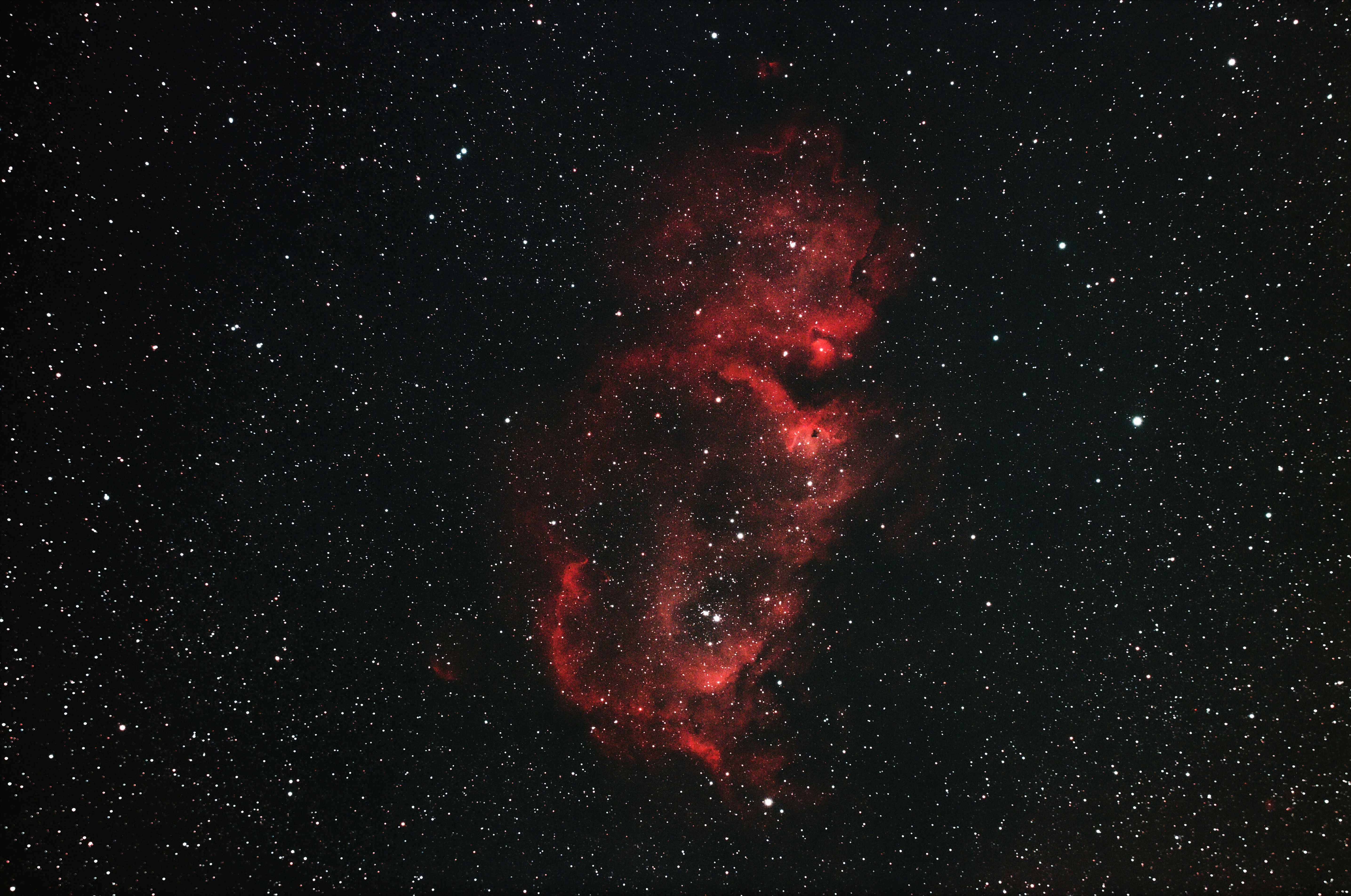 Bitburn header image