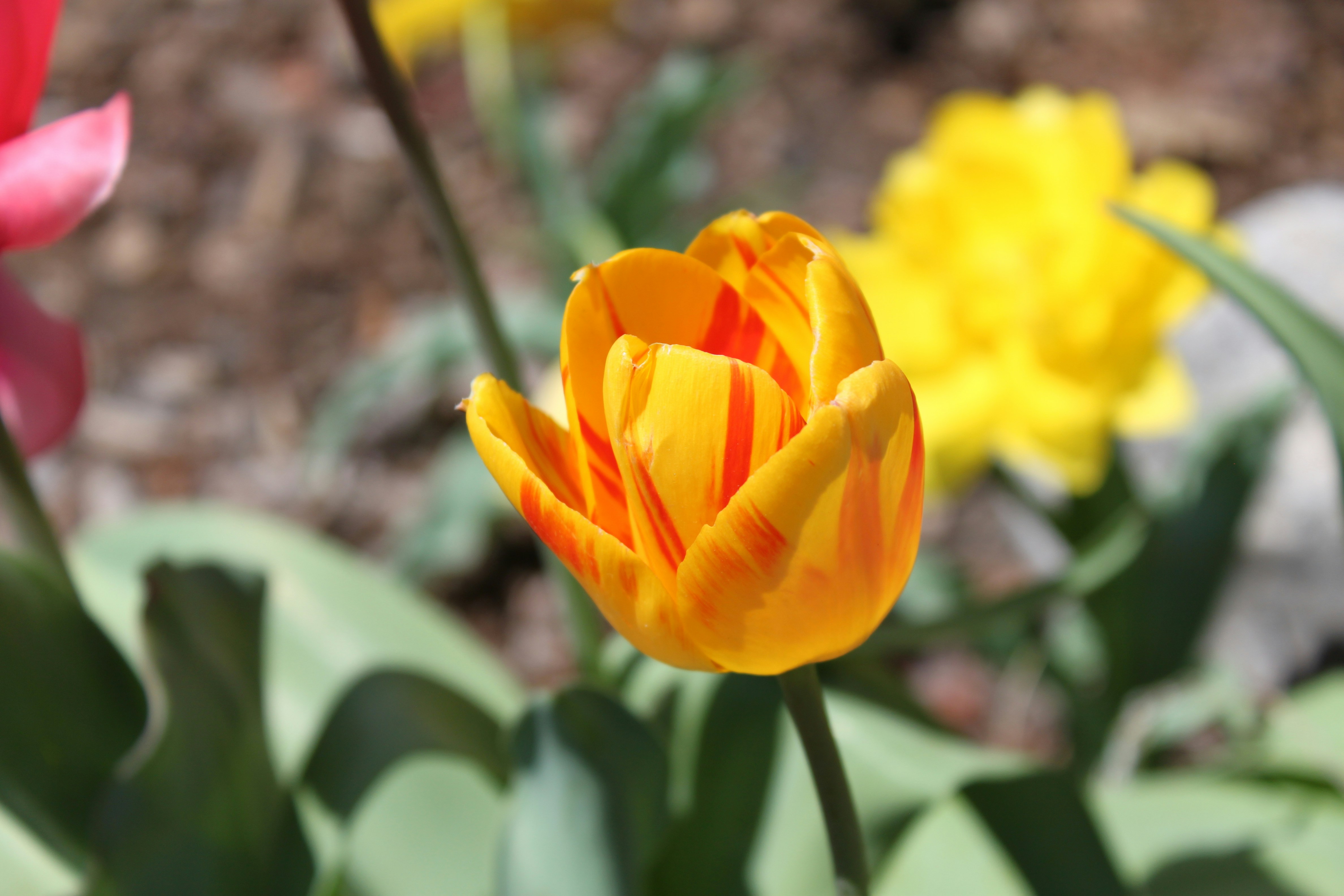 Photo by aeris_bowers