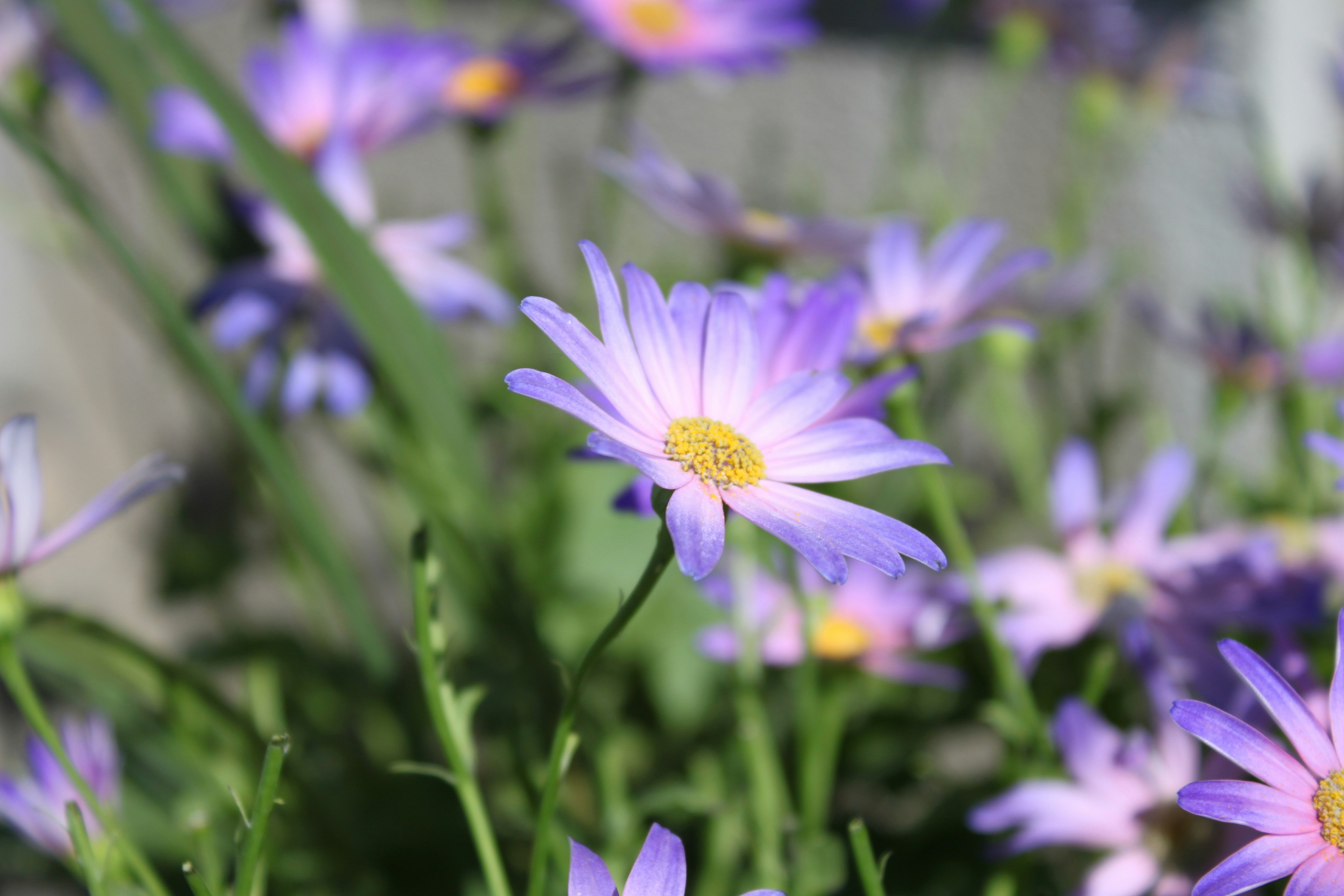 Photo by aeris_bowers