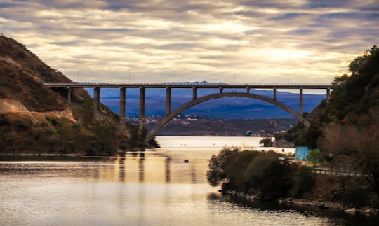 gray concrete bridge over river under gray clouds in Córdoba Argentina