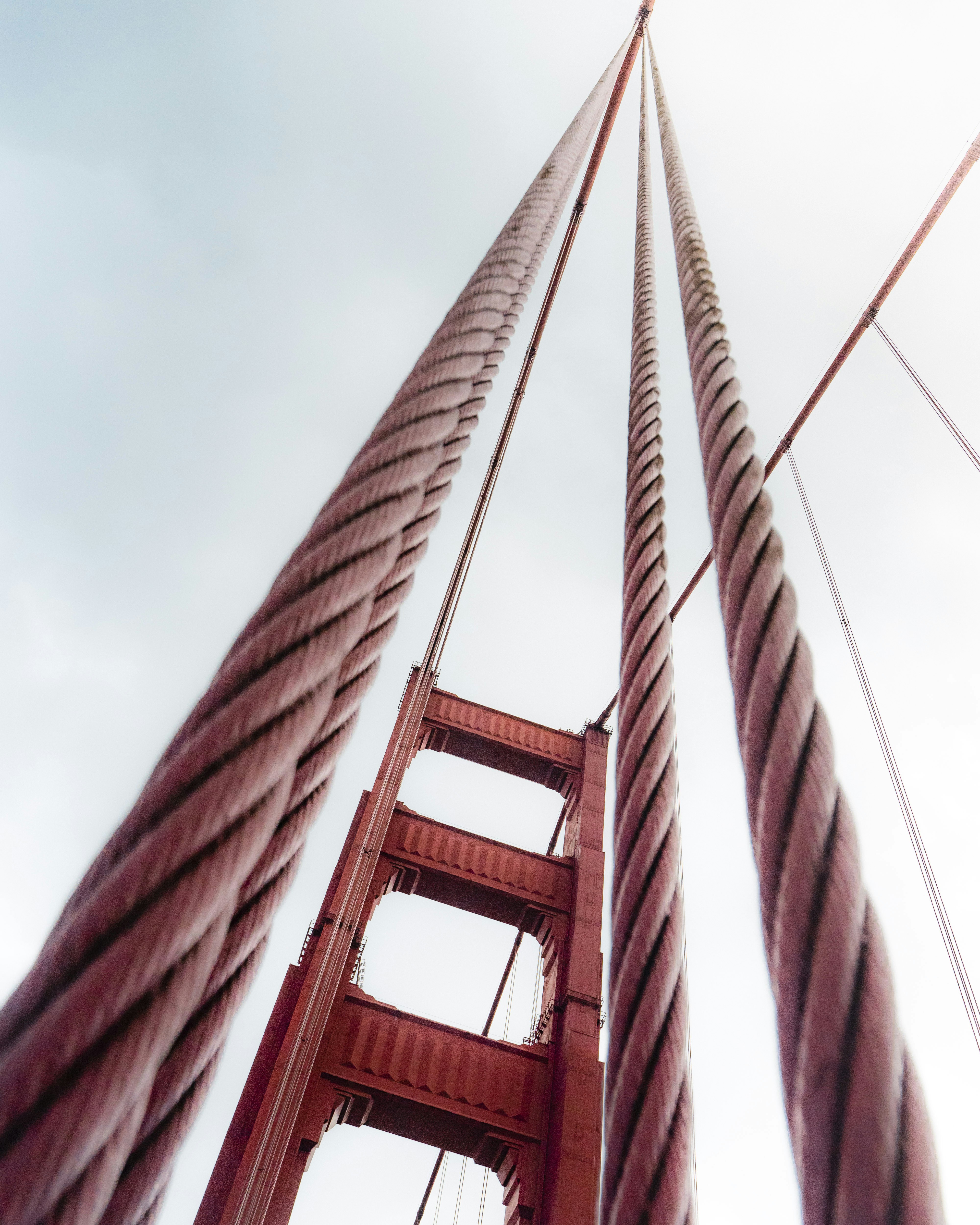 Food Trucks and Street Vendors: Mobile Culinary Adventures