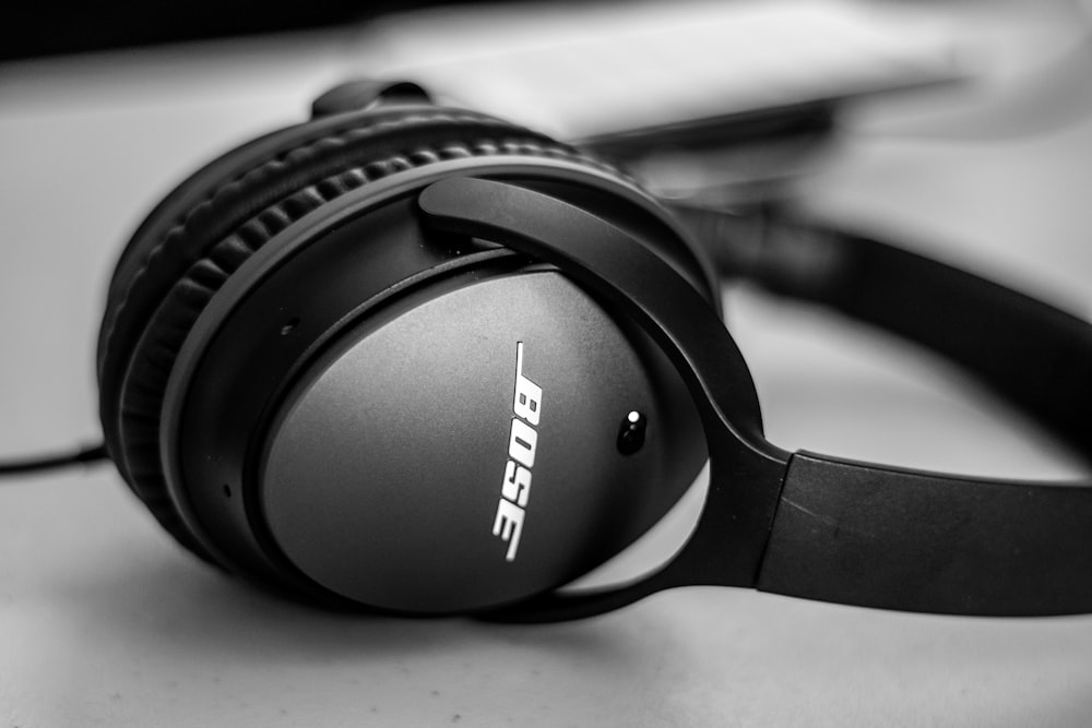 black and gray jbl headphones
