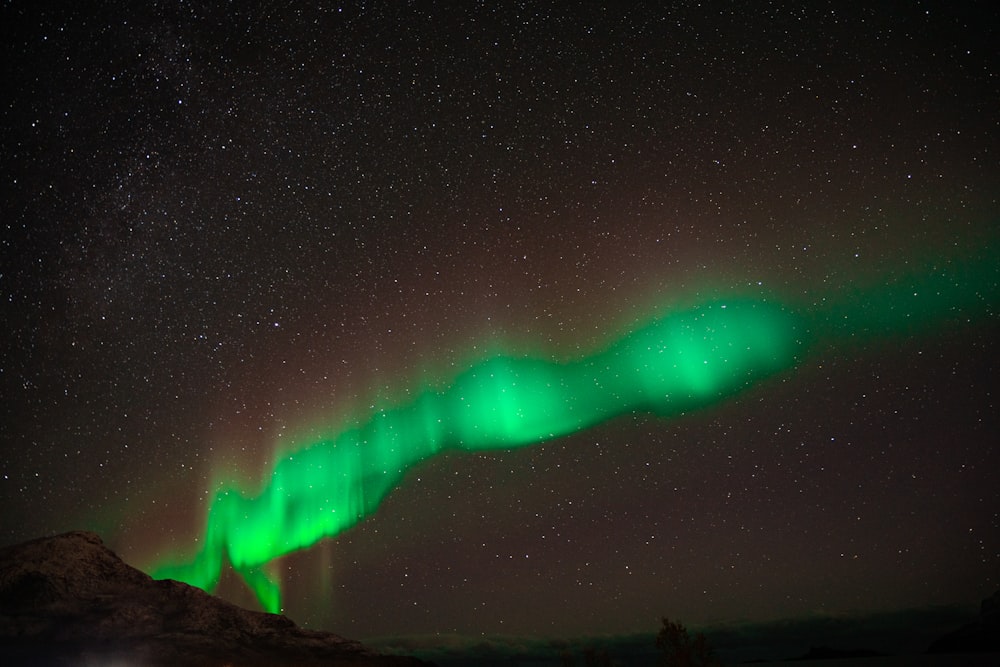 green and black sky with stars during night time